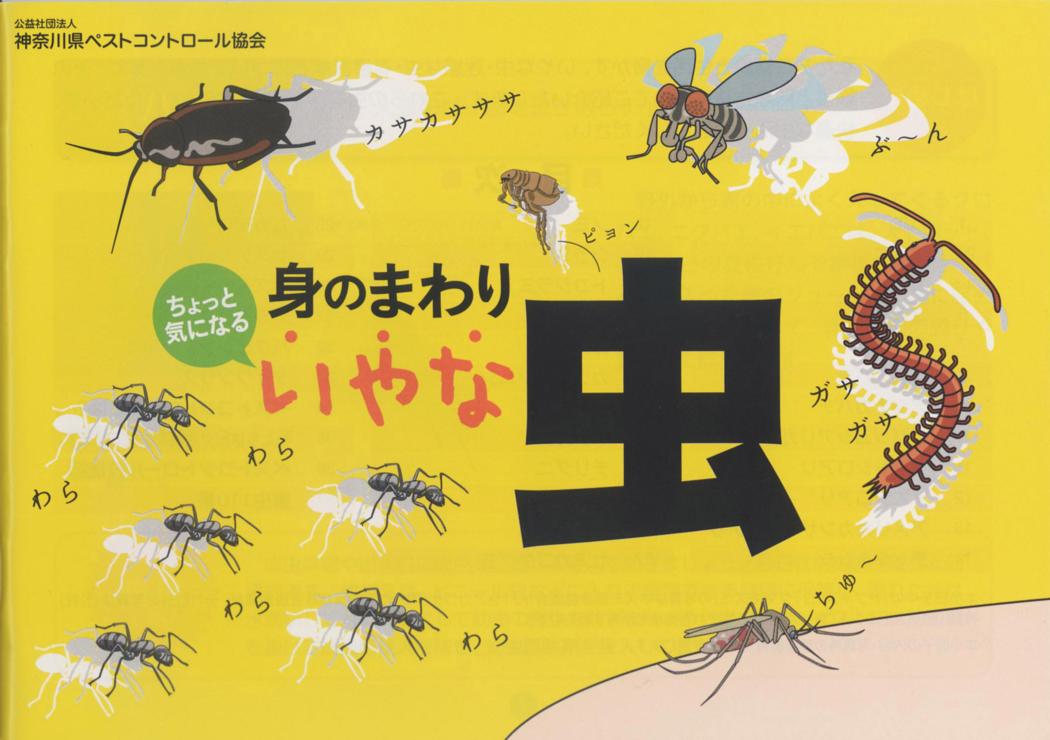 お知らせ 6 Kpca Blog
